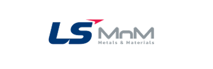LS MnM